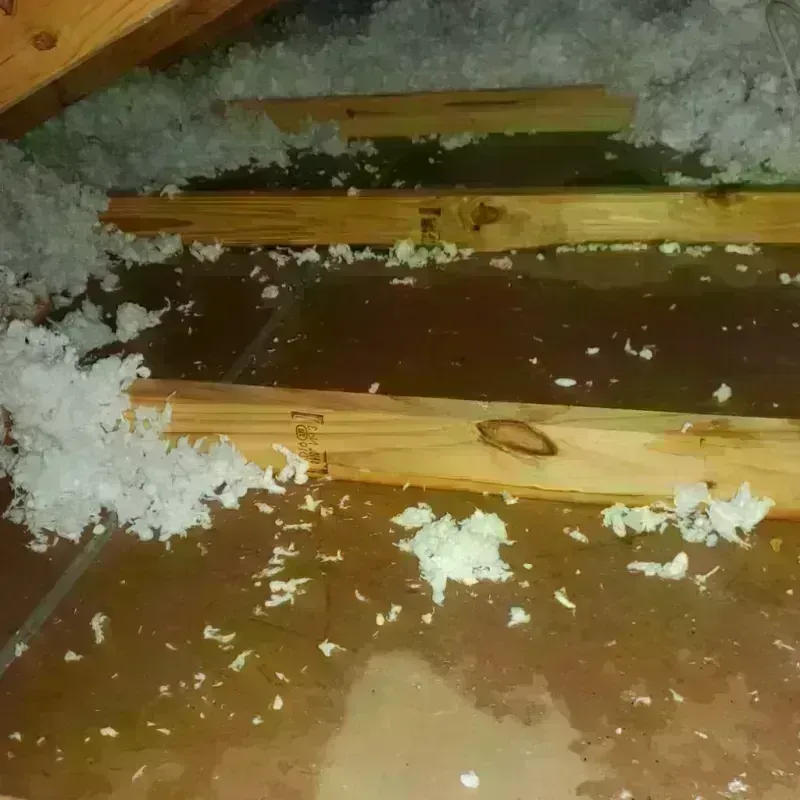 Attic Water Damage in Kurtistown, HI